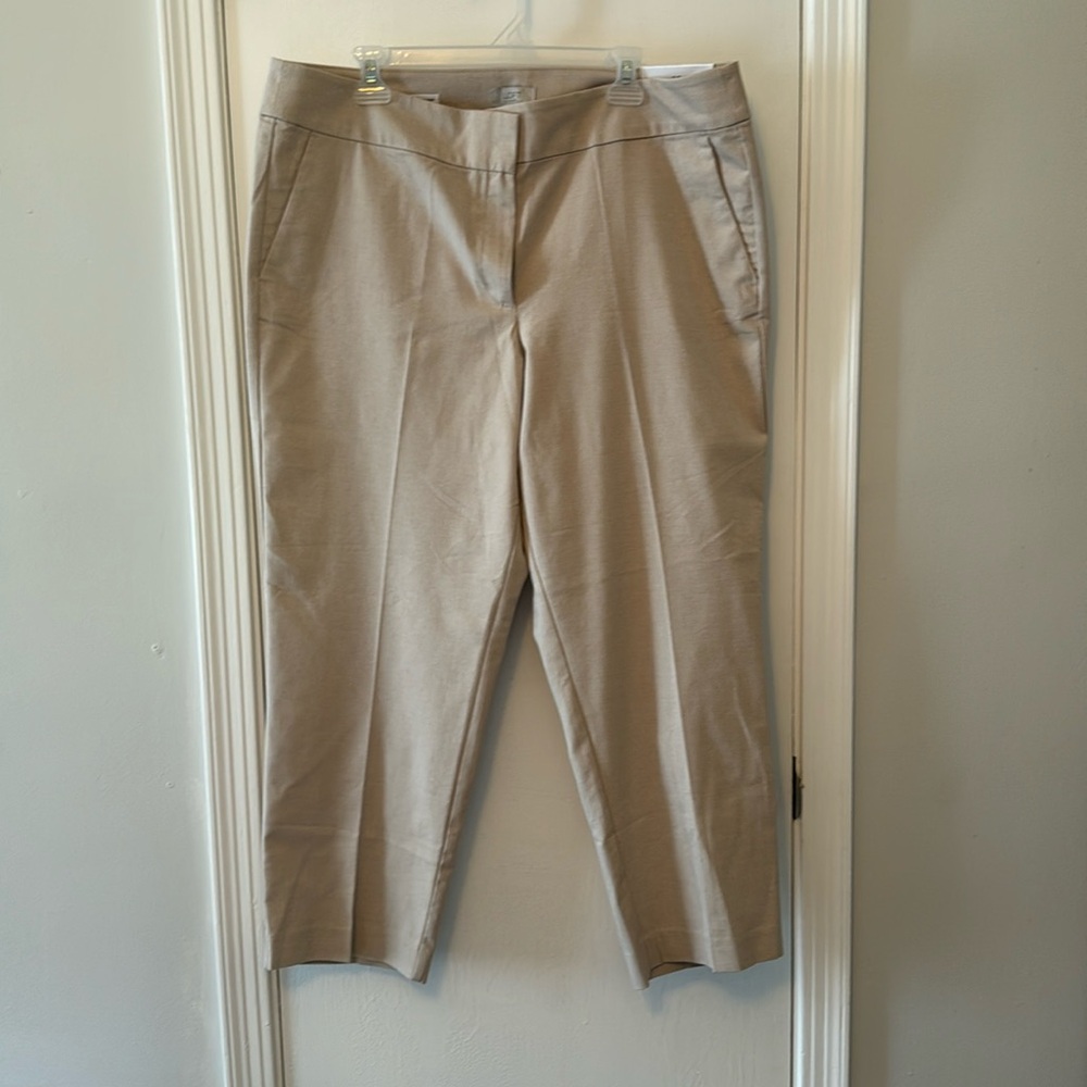 NWT LOFT Outlet curvy pencil pants size 16